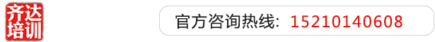 干逼操逼视频网站大全齐达艺考文化课-艺术生文化课,艺术类文化课,艺考生文化课logo